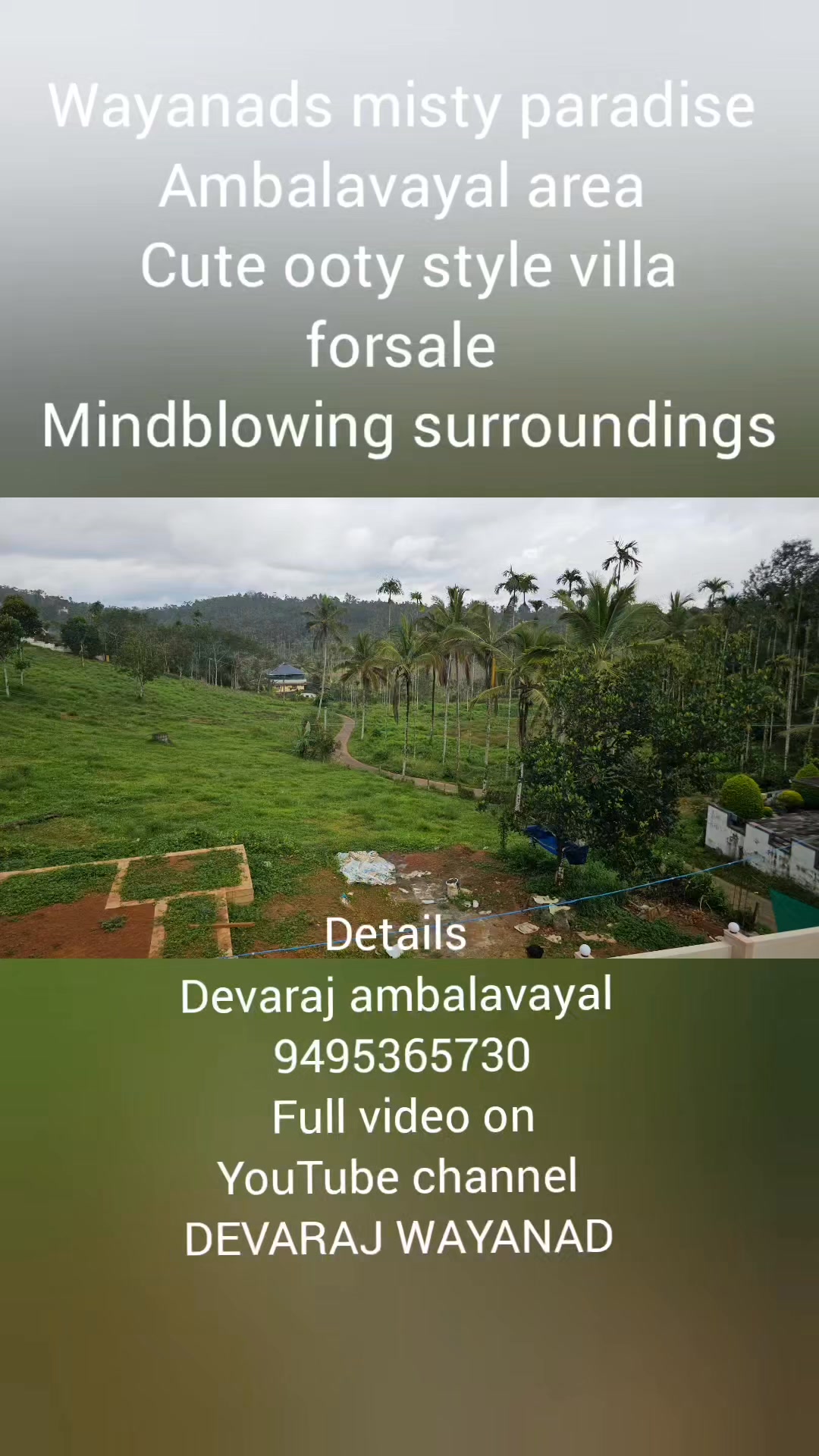 Wayanad AMBALAVAYAL OOTY style Misty green village ambiance house
