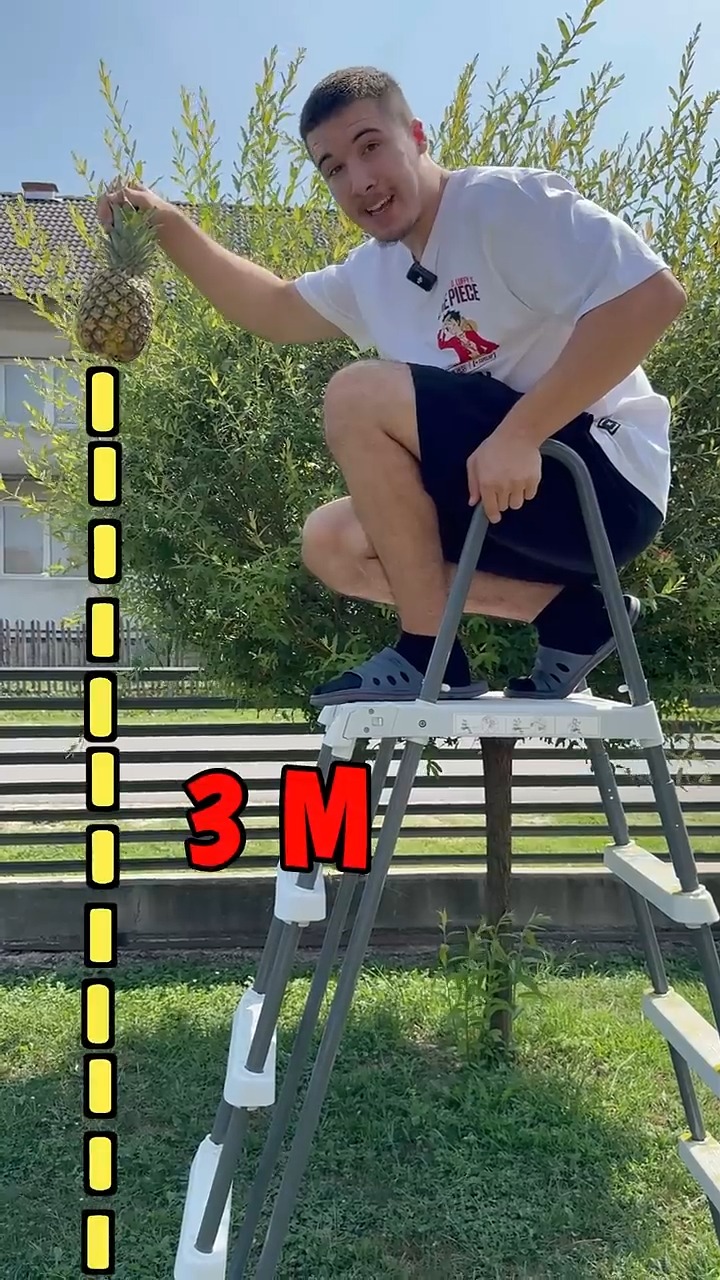 sa koje visine će ananas🍍 puknuti #fyp #viral | Mr. Cigvan Vlogs | Facebook