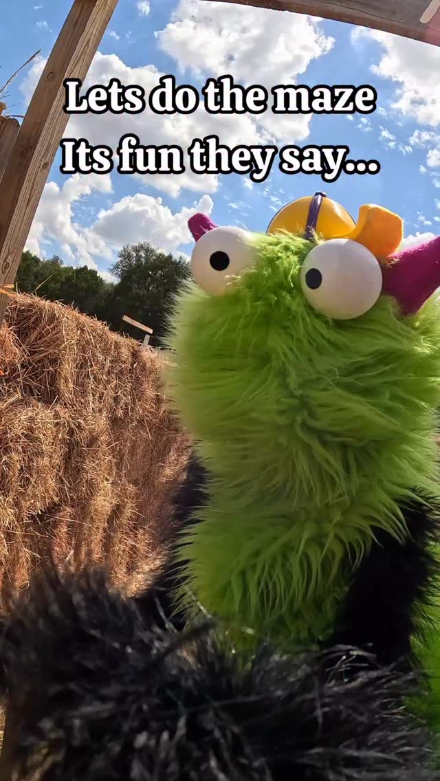 Capy tried to brave the hay maze… but every turn was the wrong turn 😅 ...