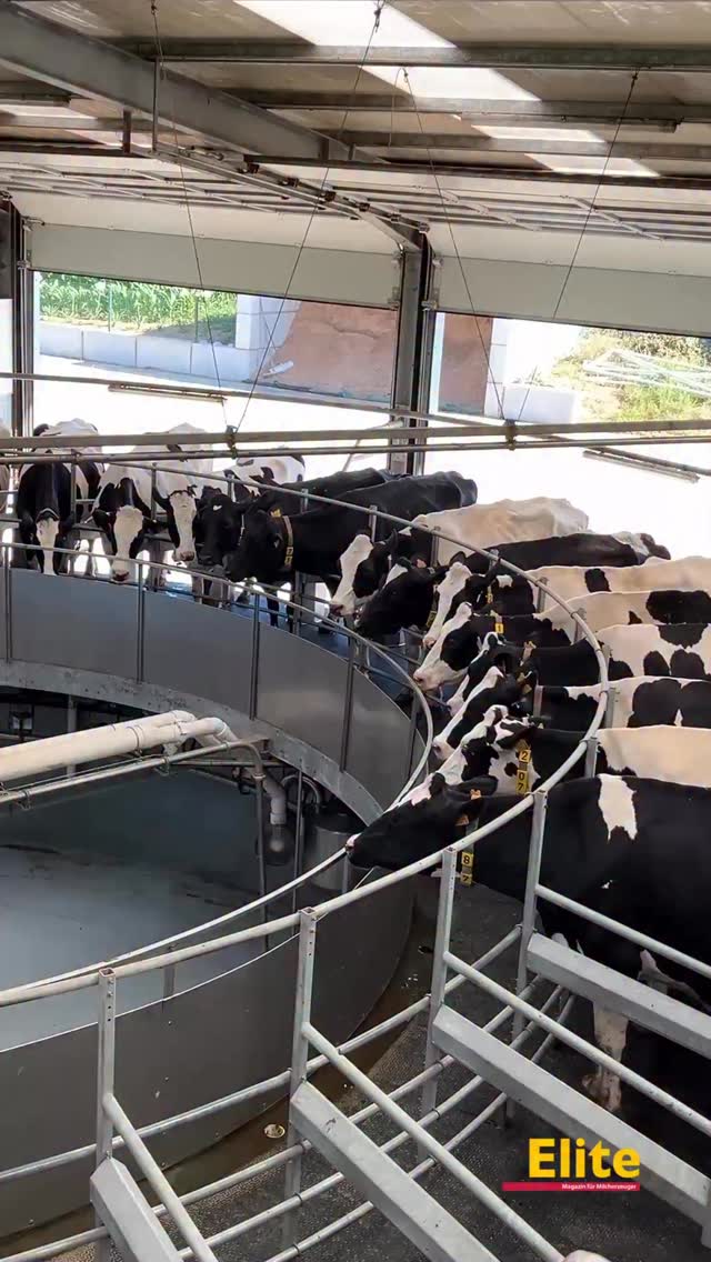 Produktbild von CALLARON Handmelkpumpe Für Schafe & Kühe – Klarer Milchbehälter, Lebensmittelecht, Tragbar Für Bauernhof