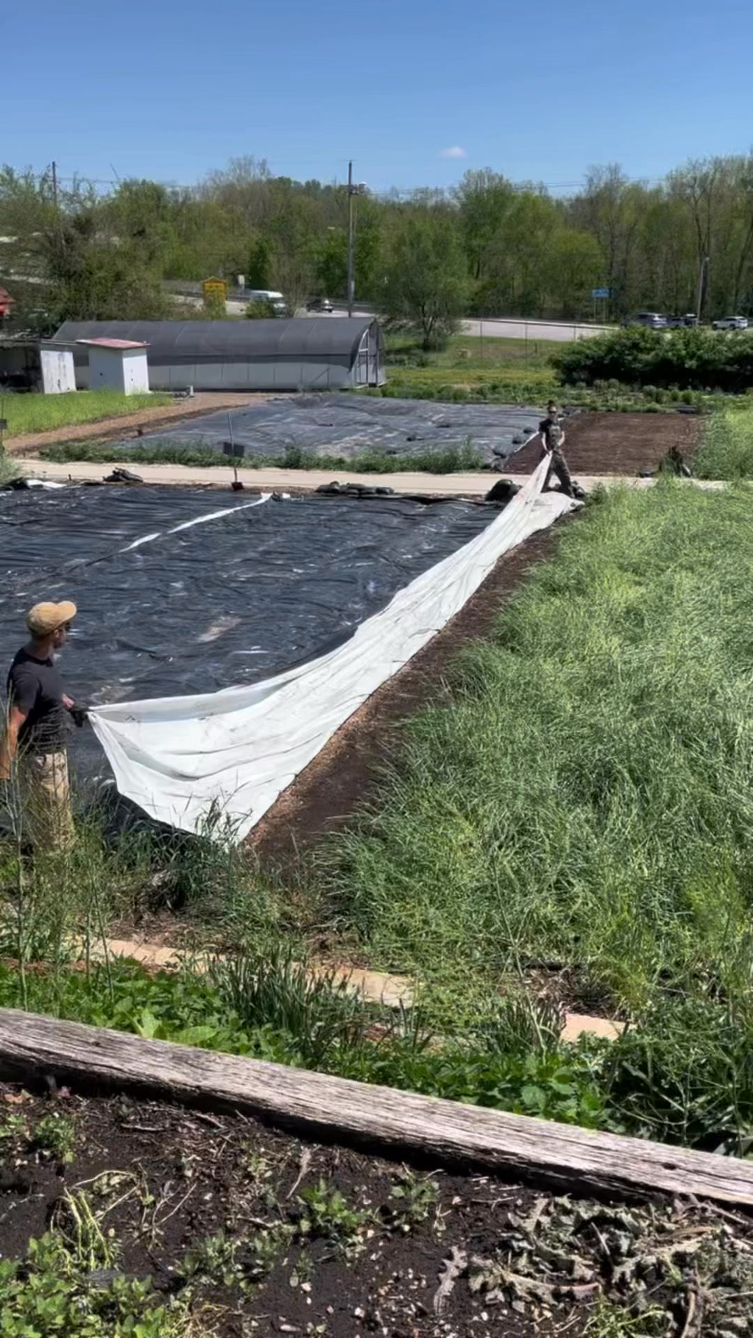 From cover crop to compost… organically. 🌿 We crimp our rye to create a ...