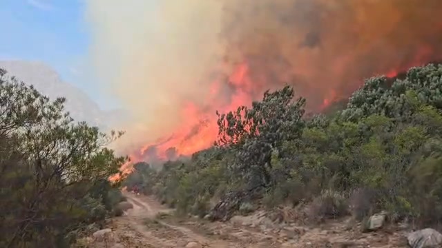 Lewis Fire Crew A is standing strong on the fire line in Wemmershoek ...