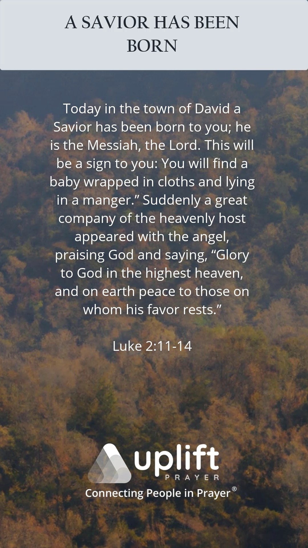 The angels announce the greatest news the world has ever known — the ...