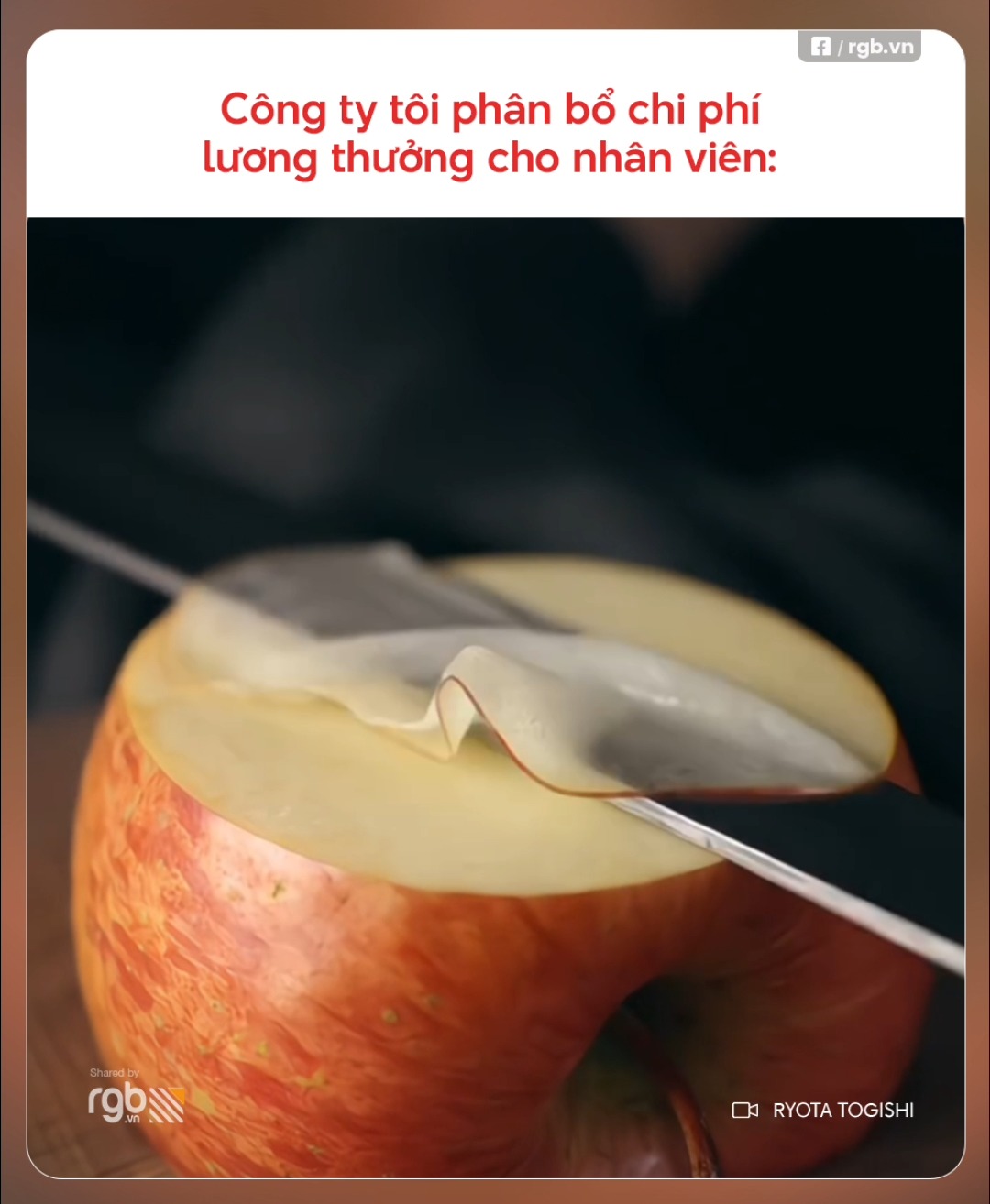 Các em yên tâm cống hiến, công ty đang phân bổ chi phí lương thưởng cho ...