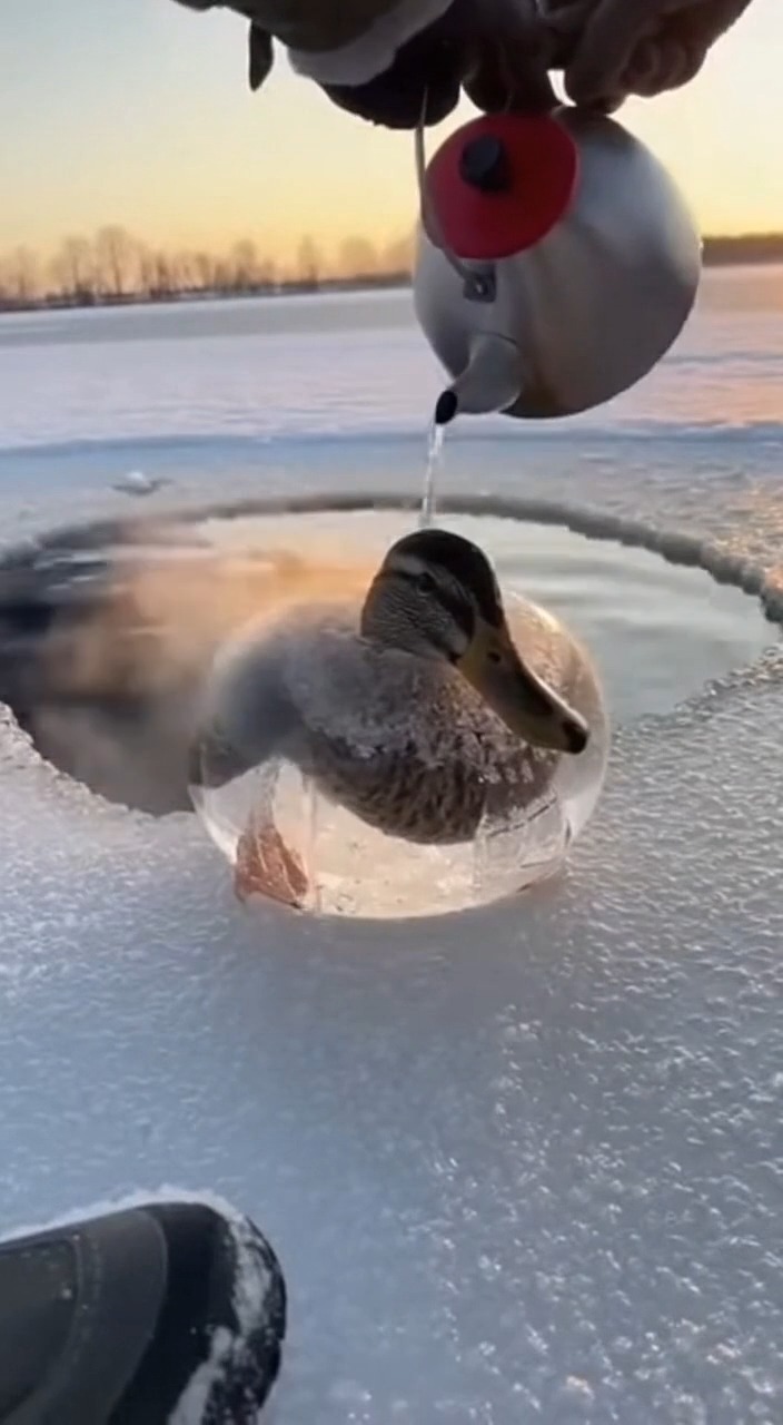 A raw, ultra-realistic POV unfolds in a frozen valley where a young ...
