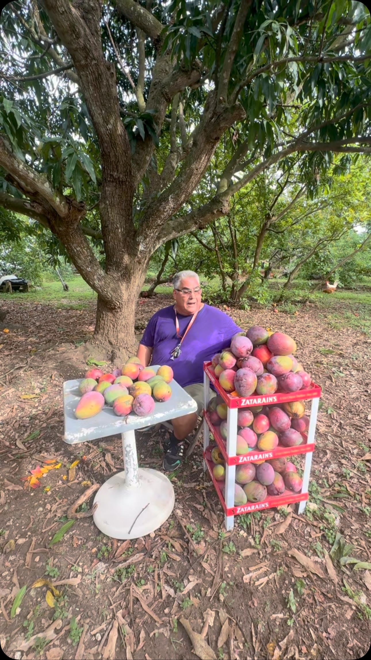 Seguimos regalando frutas , quedan solo mango y ciruelas , Gracias Dios ...