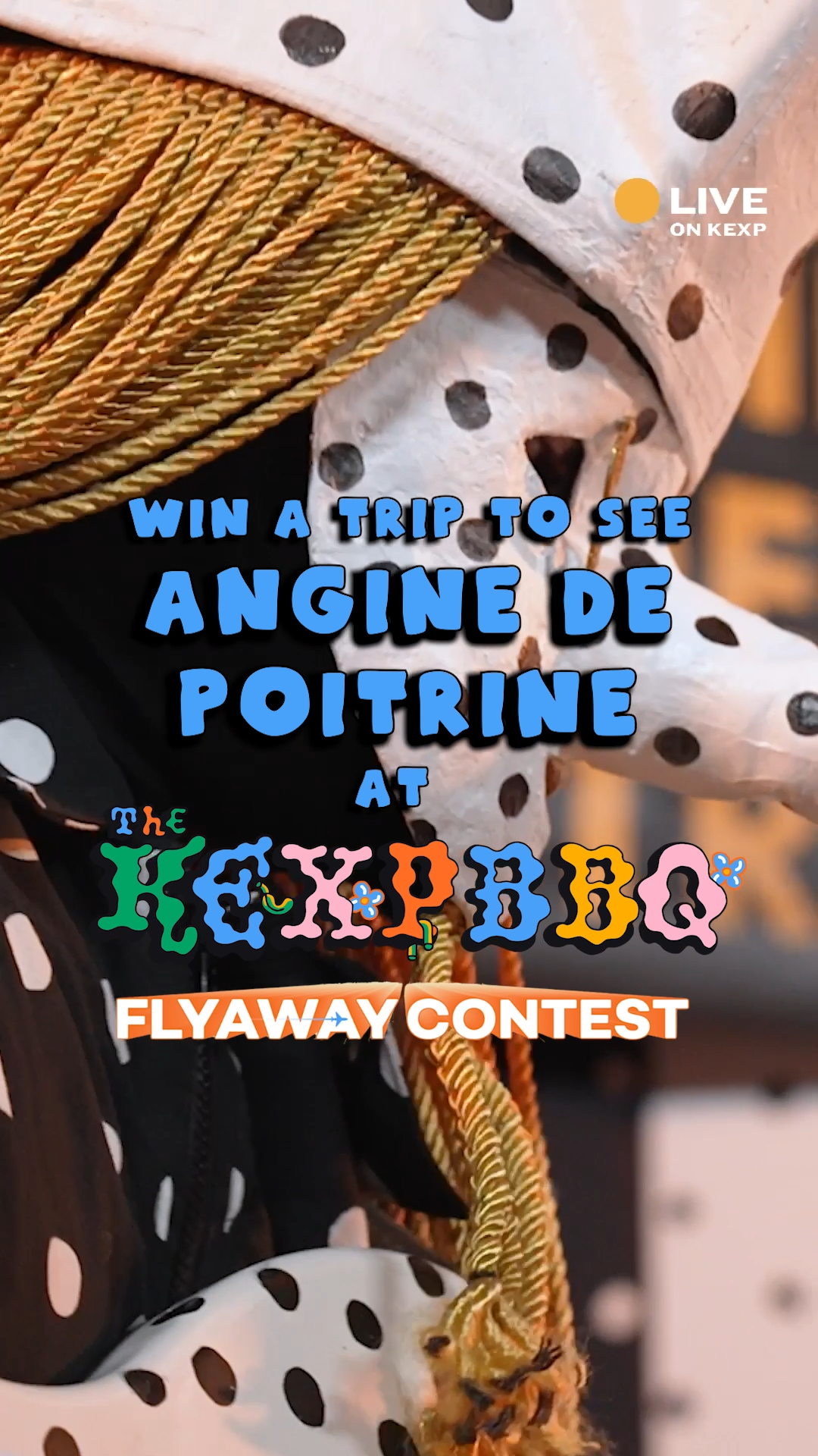 Angine de Poitrine's only Seattle show this summer is happening