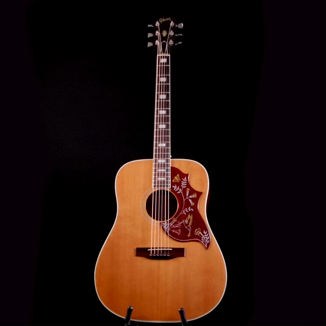 Gibson first released the Hummingbird in 1961. This '76