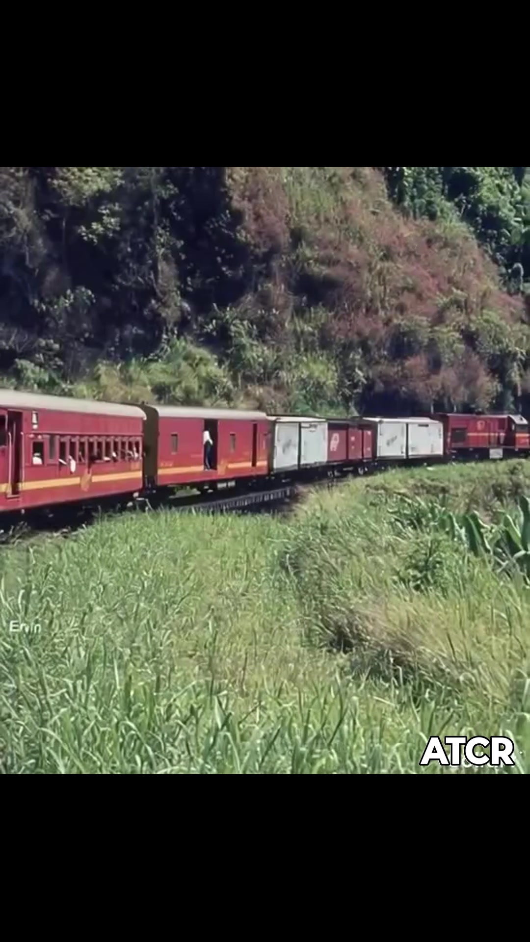 Ruta Limón/San José.el famoso tren de la jungla | Asociacion Amantes ...