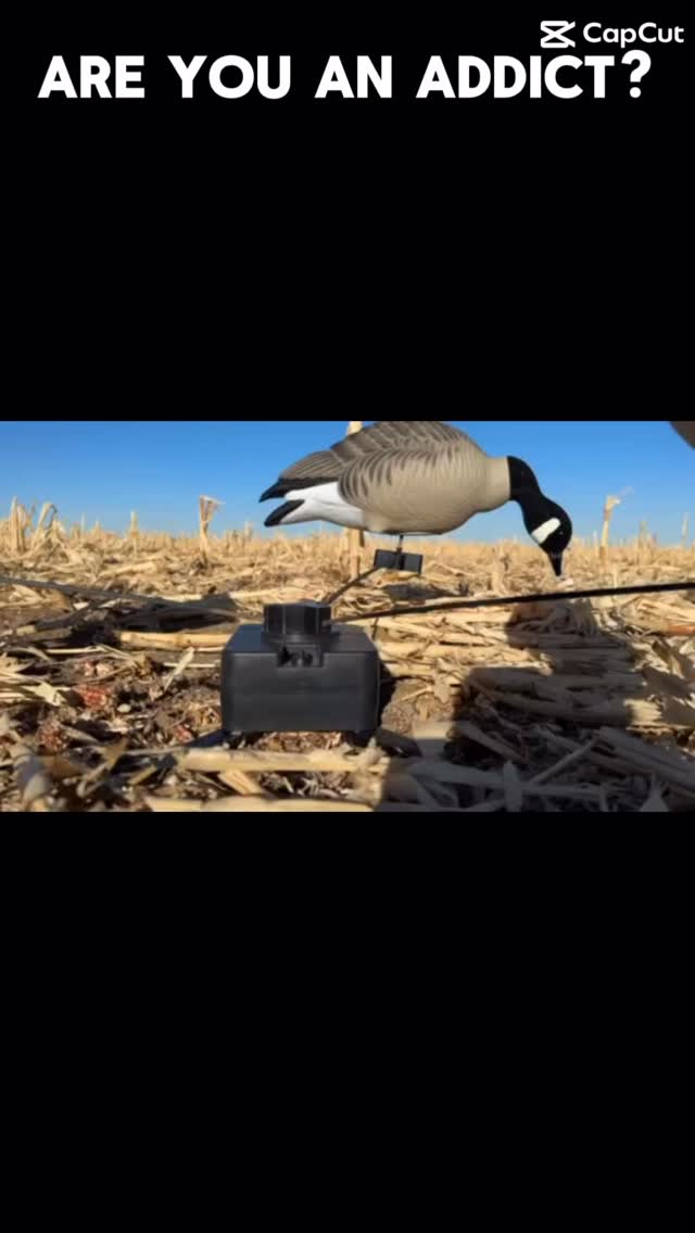 Addiction, yeah that works. #waterfowl #hunting #murderwithmotion # ...