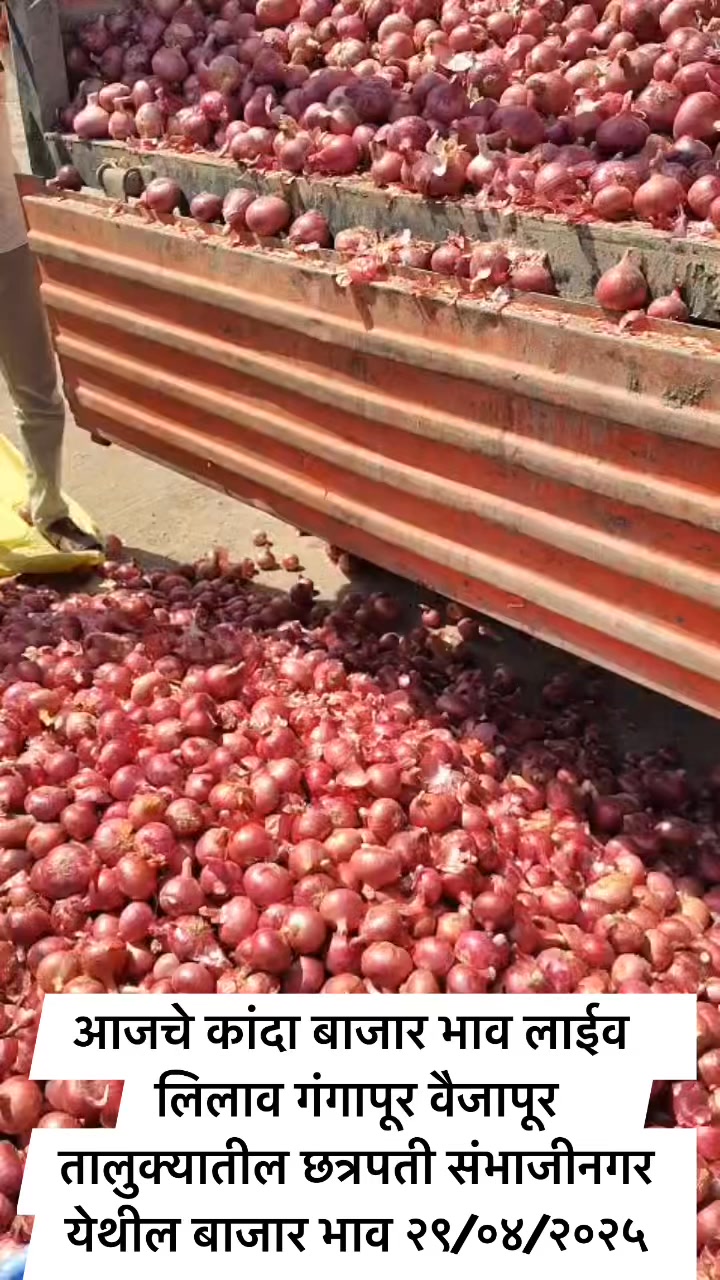 Live onion market