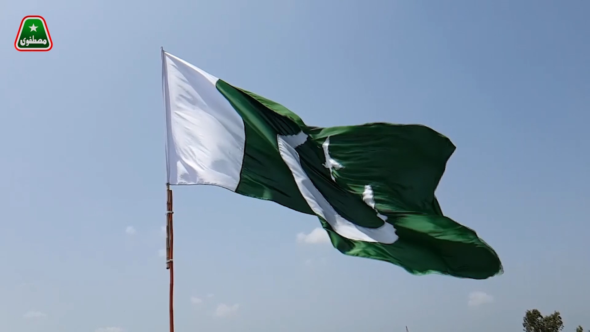 𝗧𝗥𝗘𝗘 𝗣𝗟𝗔𝗡𝗧𝗔𝗧𝗜𝗢𝗡 𝗗𝗥𝗜𝗩𝗘 ‘𝟮𝟱 🌳 This August, as we celebrate independence ...