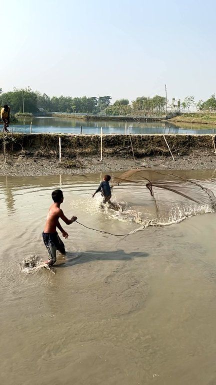 Fishing and funny moment 😀 #fishinglife #villagefishing #fishingreels # ...