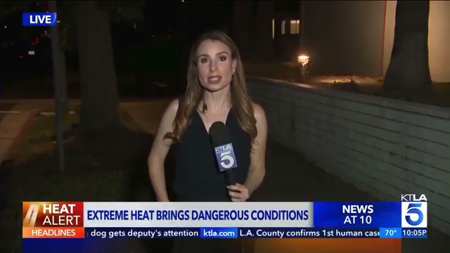 An insect crashed KTLA reporter Rachel Menitoff's live shot last