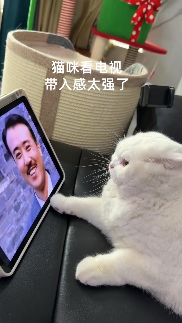 🐶：人～ 你真狗 🤣🤣🤣 #搞笑 #狗狗 #萌宠 #看一遍笑一遍 #笑一笑没烦恼 #关注我每日更新 #赞 #分享 | 哈哈樂 | Facebook