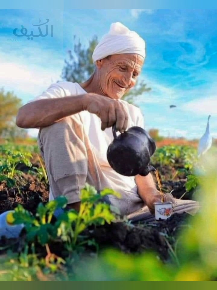 شاى الكيف - Al Kaif tea | 6 October City