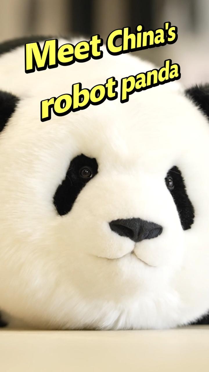 Meet 