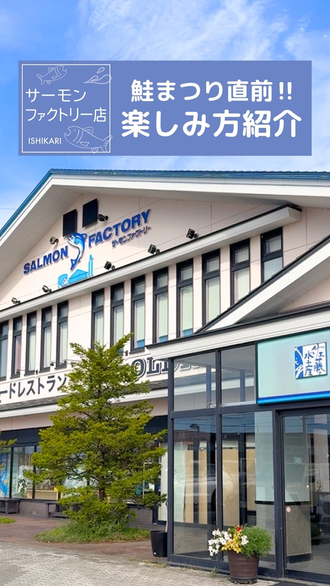 斉藤 陽向 没後10年 作品展】のお知らせ 当社の包装紙や包装袋に描か