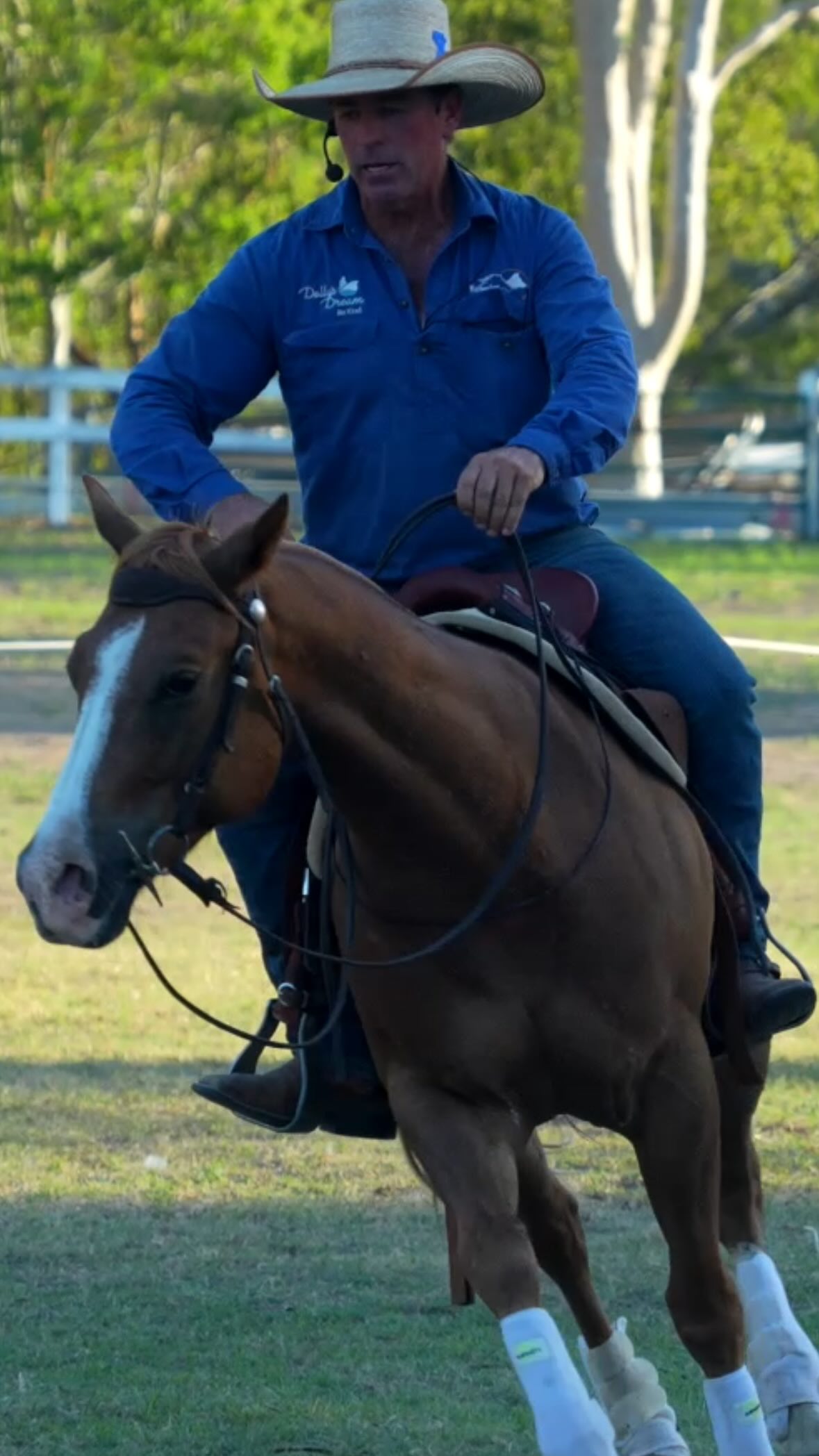 Wingham is one of those towns that shows you what the good outback life ...