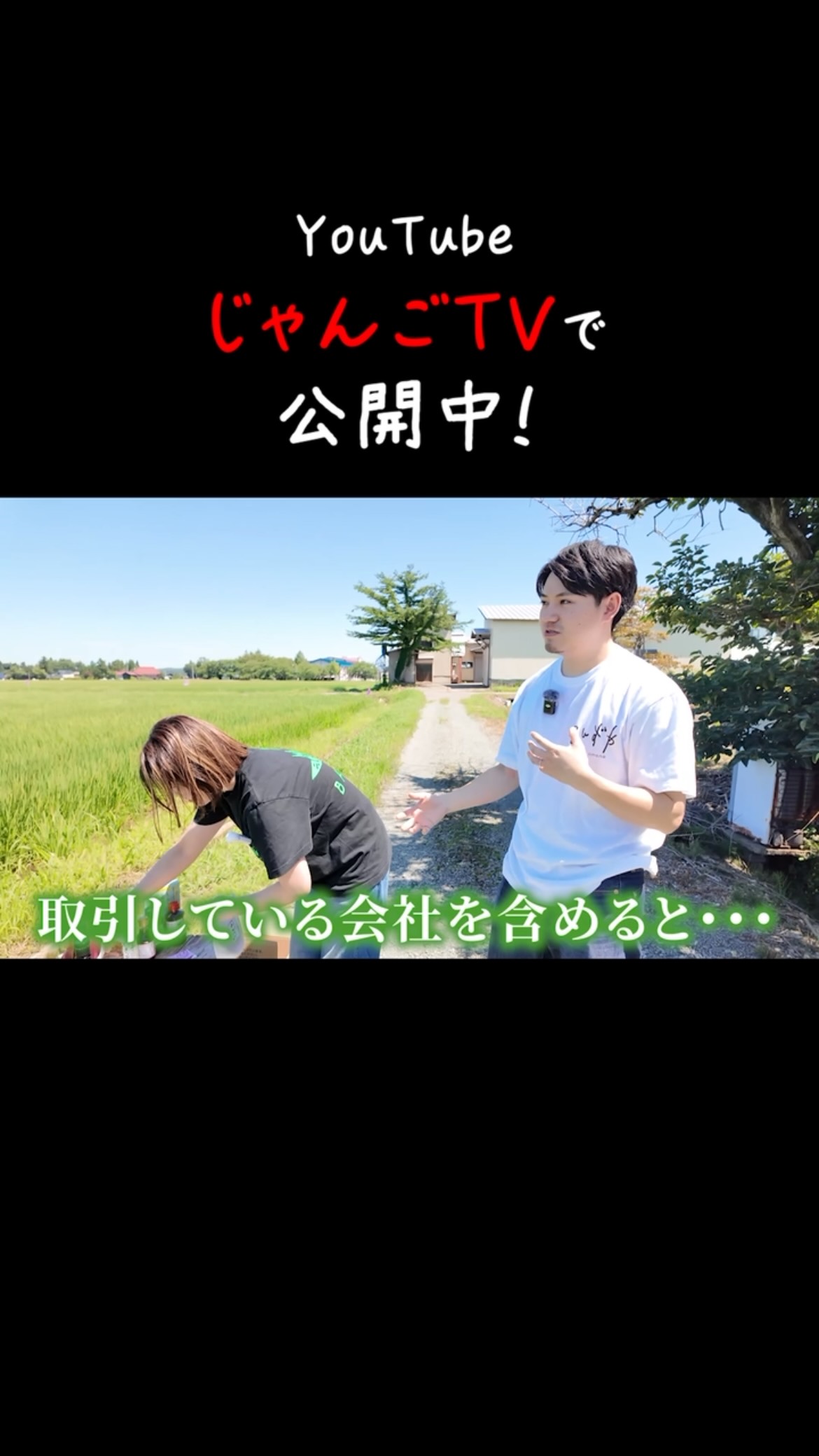 じゃん ご ブログ