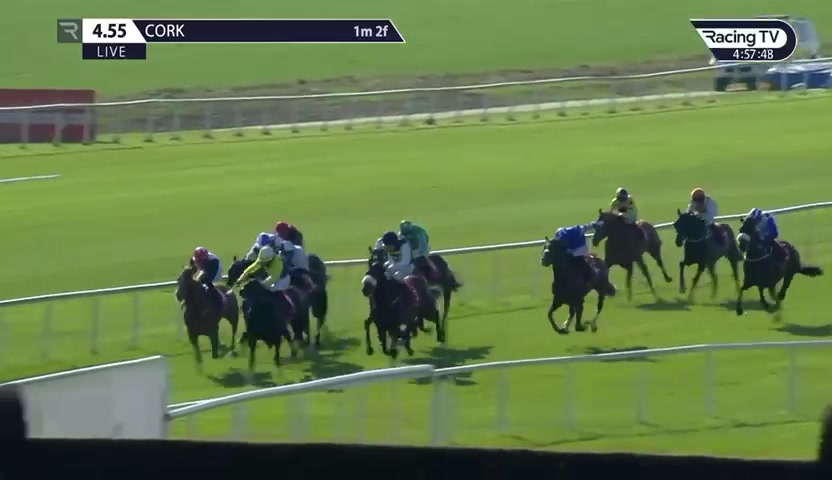 A look at one of our new horses... - Bryan Martin Racing Club
