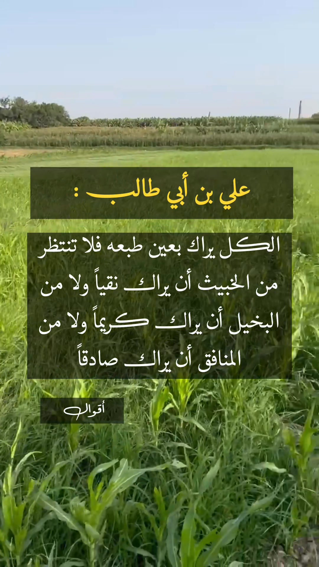 يقول على ابن أبي طالب الكل يراك بعين طبعه فلا تنتظر من الخبيث أن يراك ...