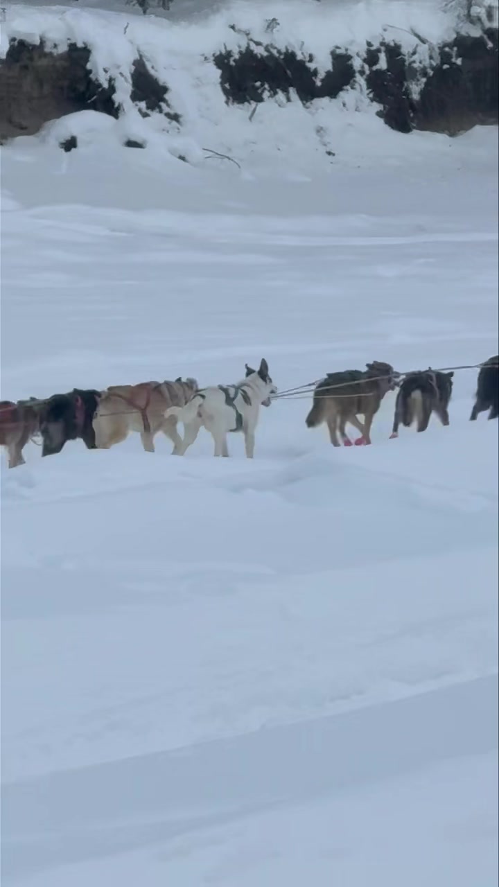 Keaton Loebrich, Bib 2, and team cruising down the Chena River ...