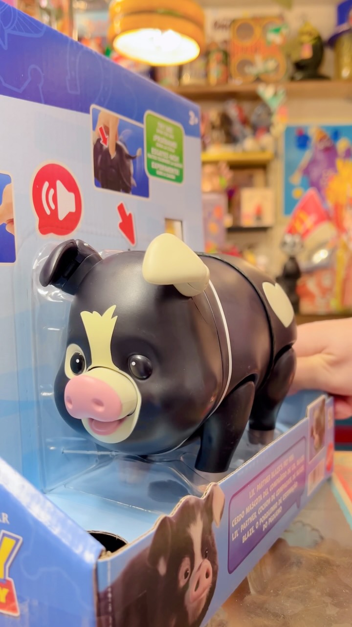 Toy & Collectables, Vintage RPM | Nagoya-shi Aichi