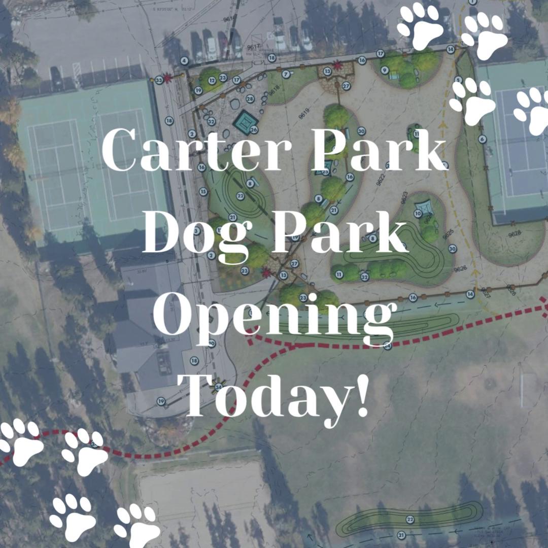 It’s time to paw-ty, Breck! 🐶 The Carter Park Dog Park is officially ...