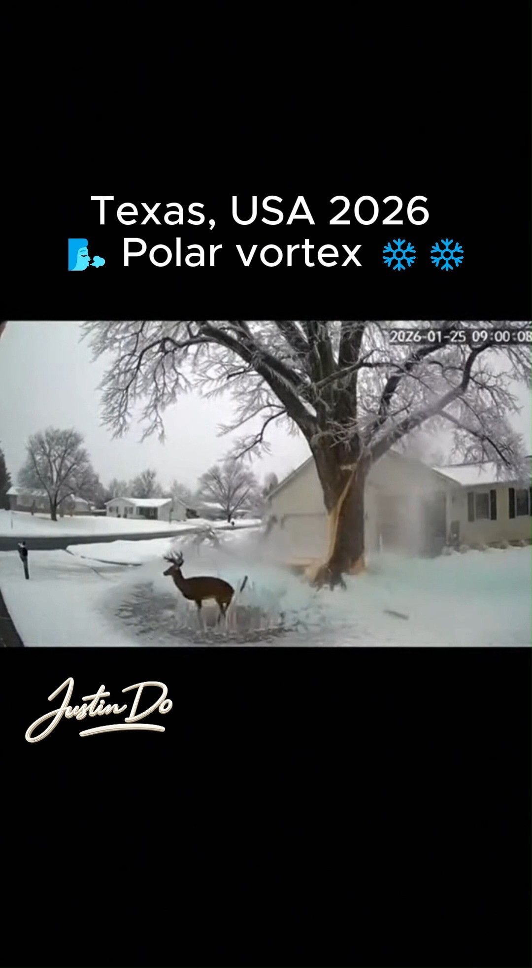 9:00 AM, January 25, 2026 — Texas, USA Frozen Fate Broken: Tree ...