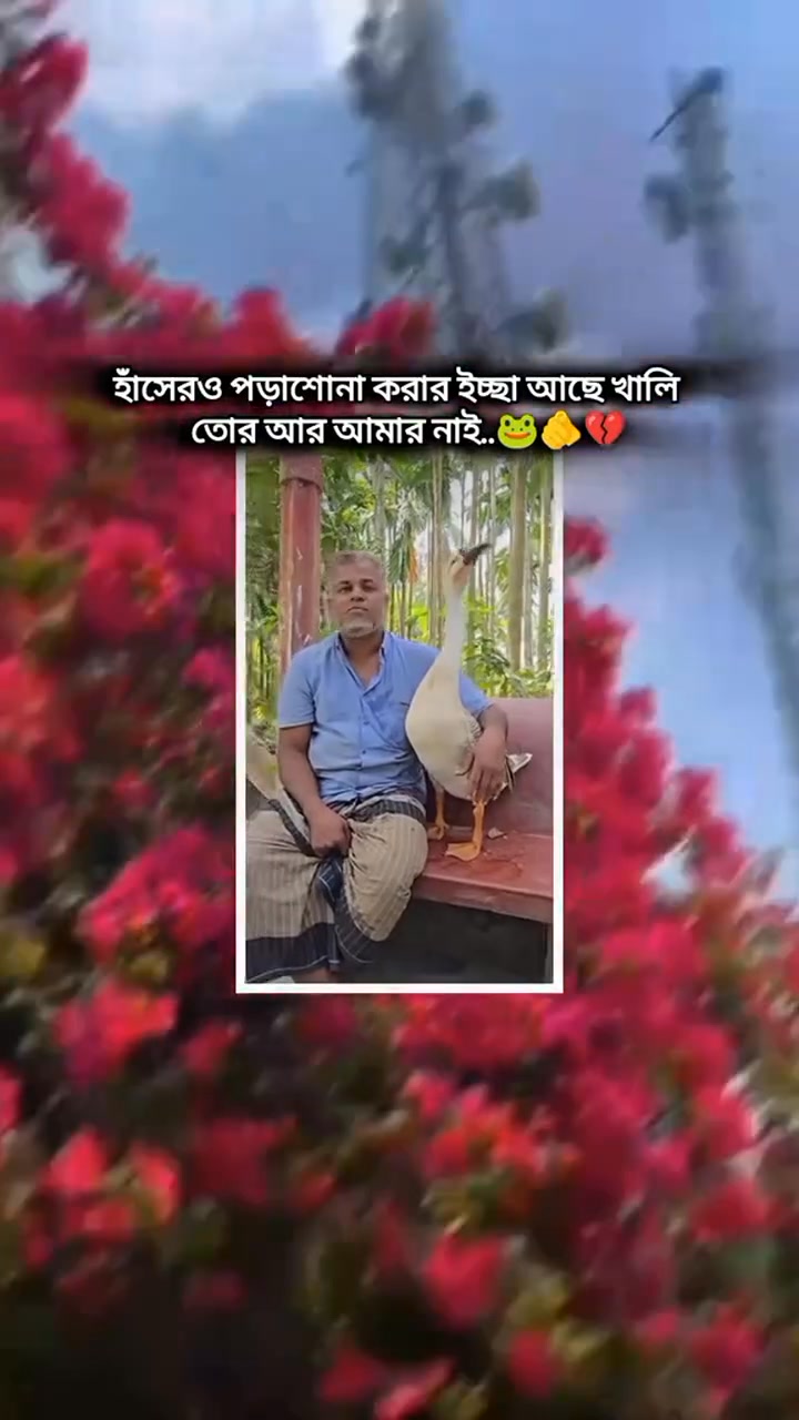 Mahbuba Jahan Meme