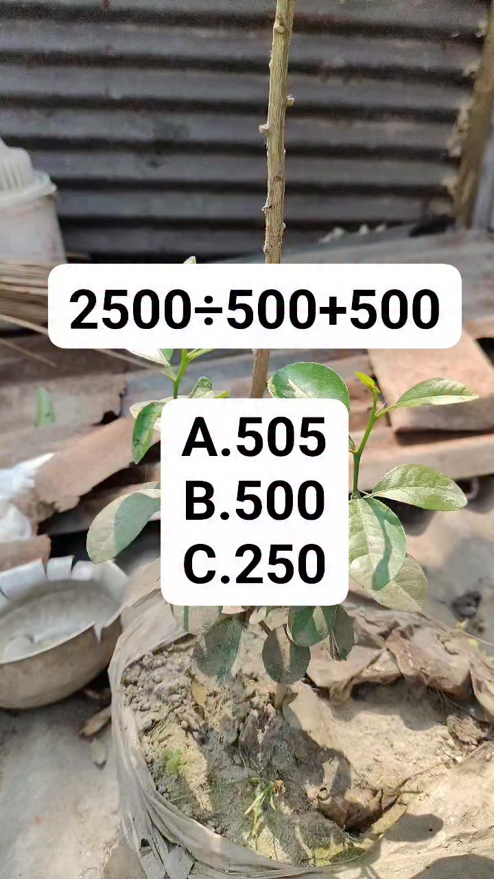 Puzzles 🫡🧠 #reelsfbシ #maths #brainteaser #puzzle #mathematics # ...