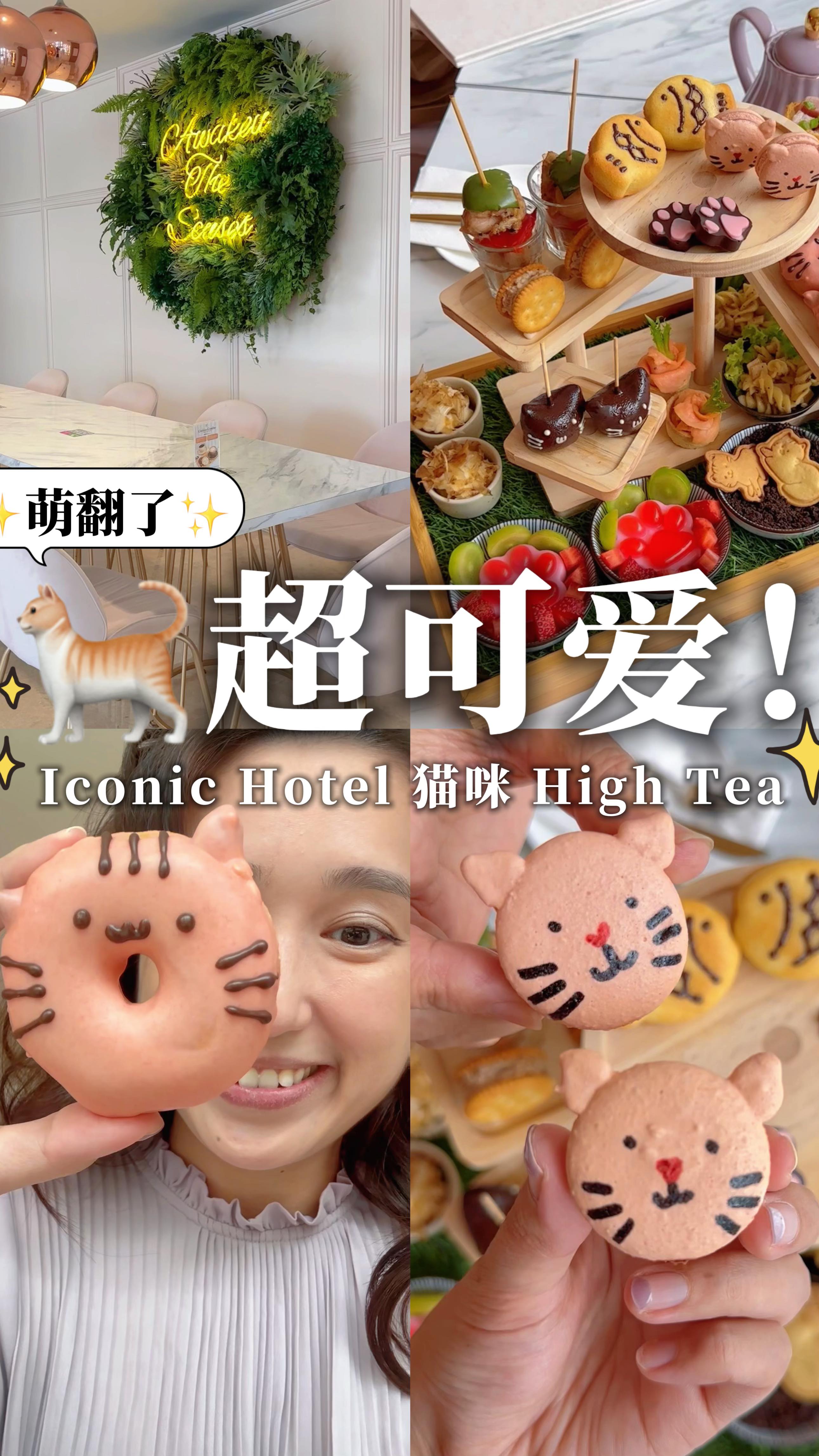 🇲🇾槟城探店 | 超可爱！Iconic Hotel 猫咪 High Tea 🐱☕ . 带着两个妈妈来 Iconic Hotel，终于打卡传说 ...