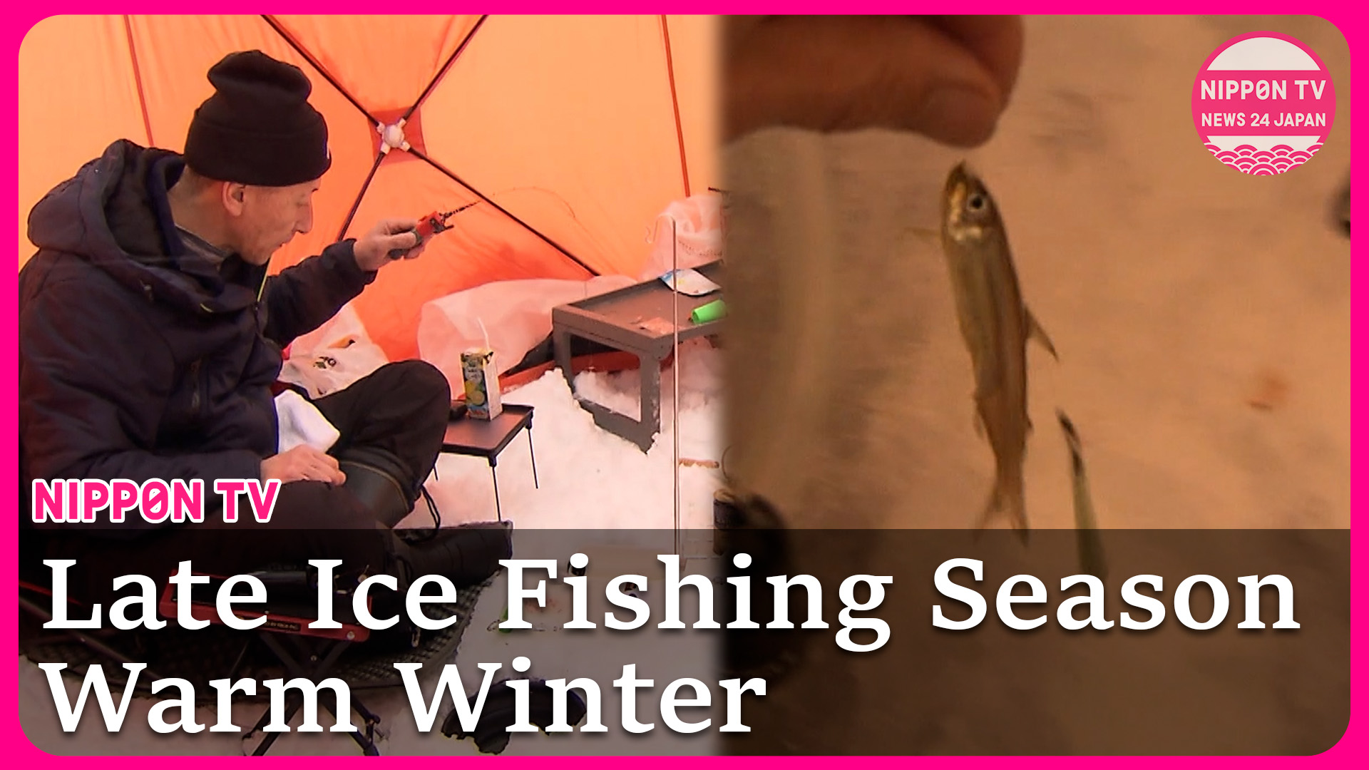 Wakasagi—small 10cm fish—are the star of Japan