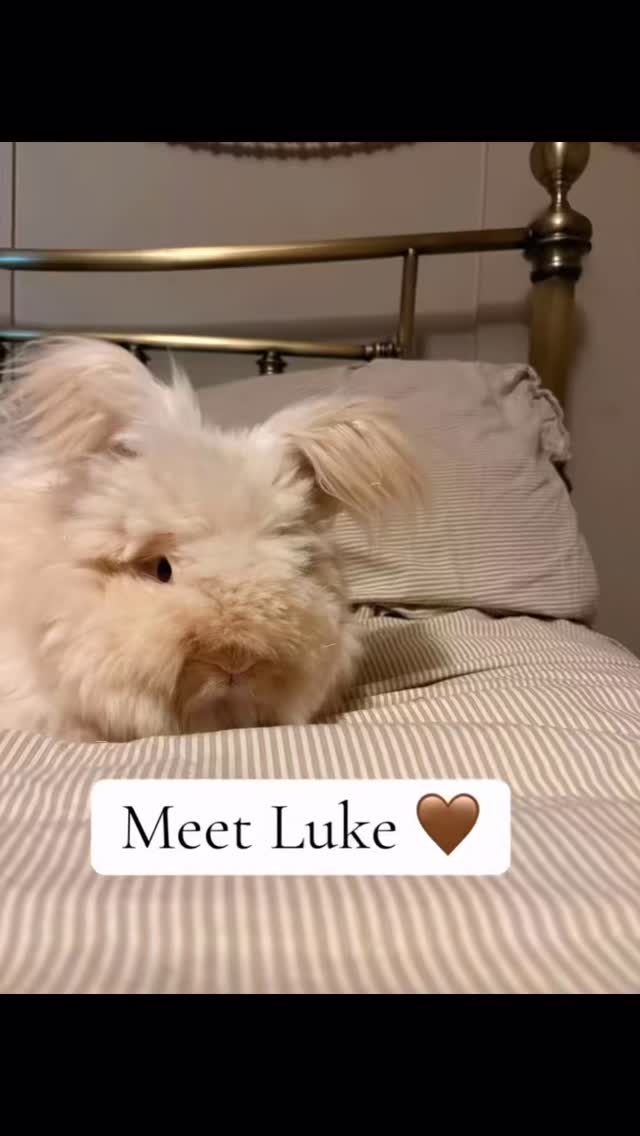 He was a Christmas present from my dad (I’m 45 😂). I’ve wanted an ...