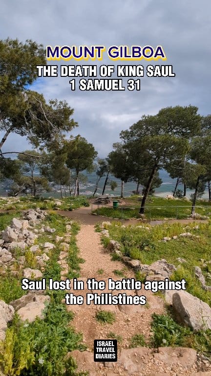 Mount Gilboa stands as a memorial for the tragic death of Saul, the ...