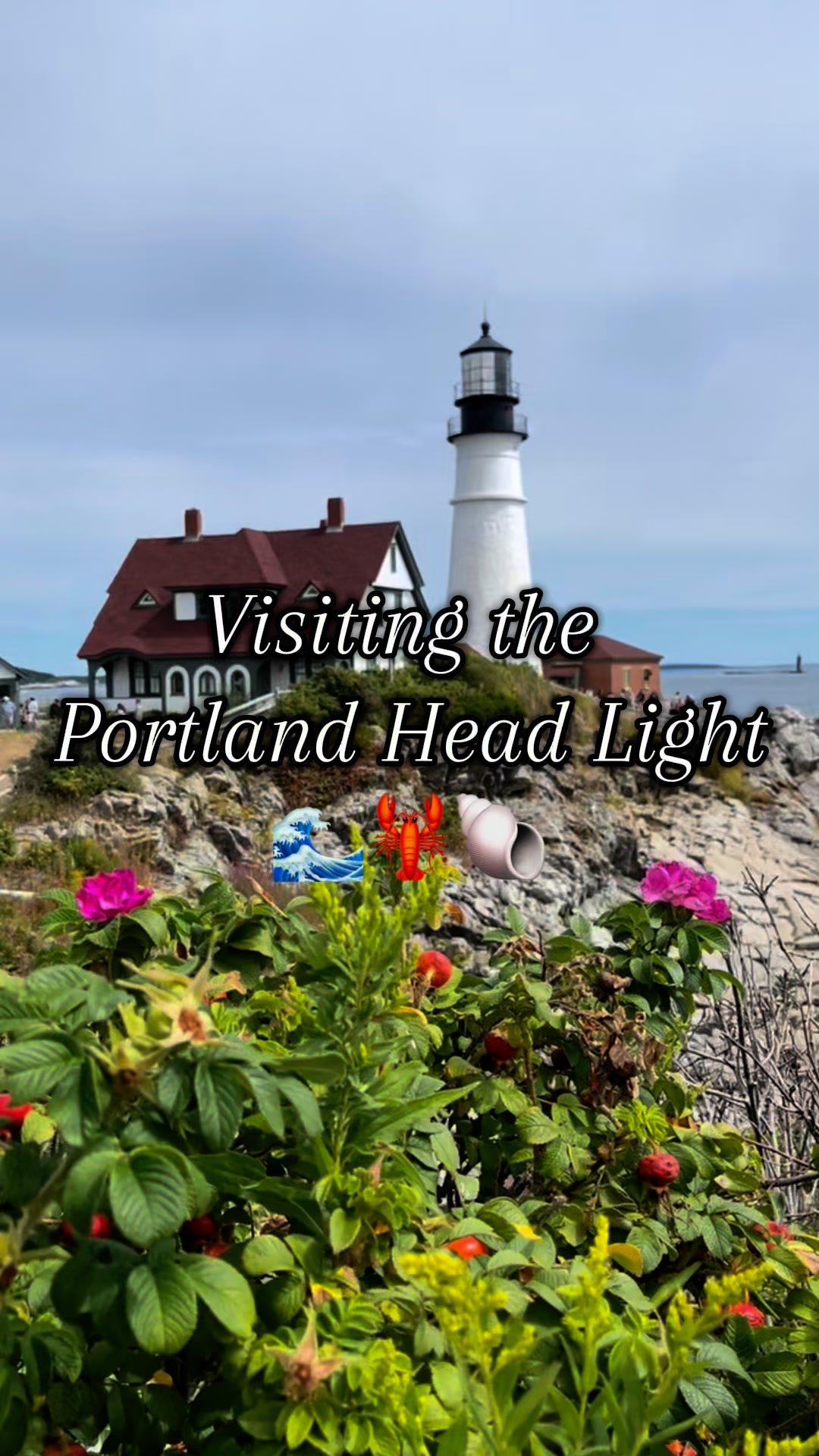 A beautiful day by the sea 🌊 We enjoyed a visit to the iconic Portland ...