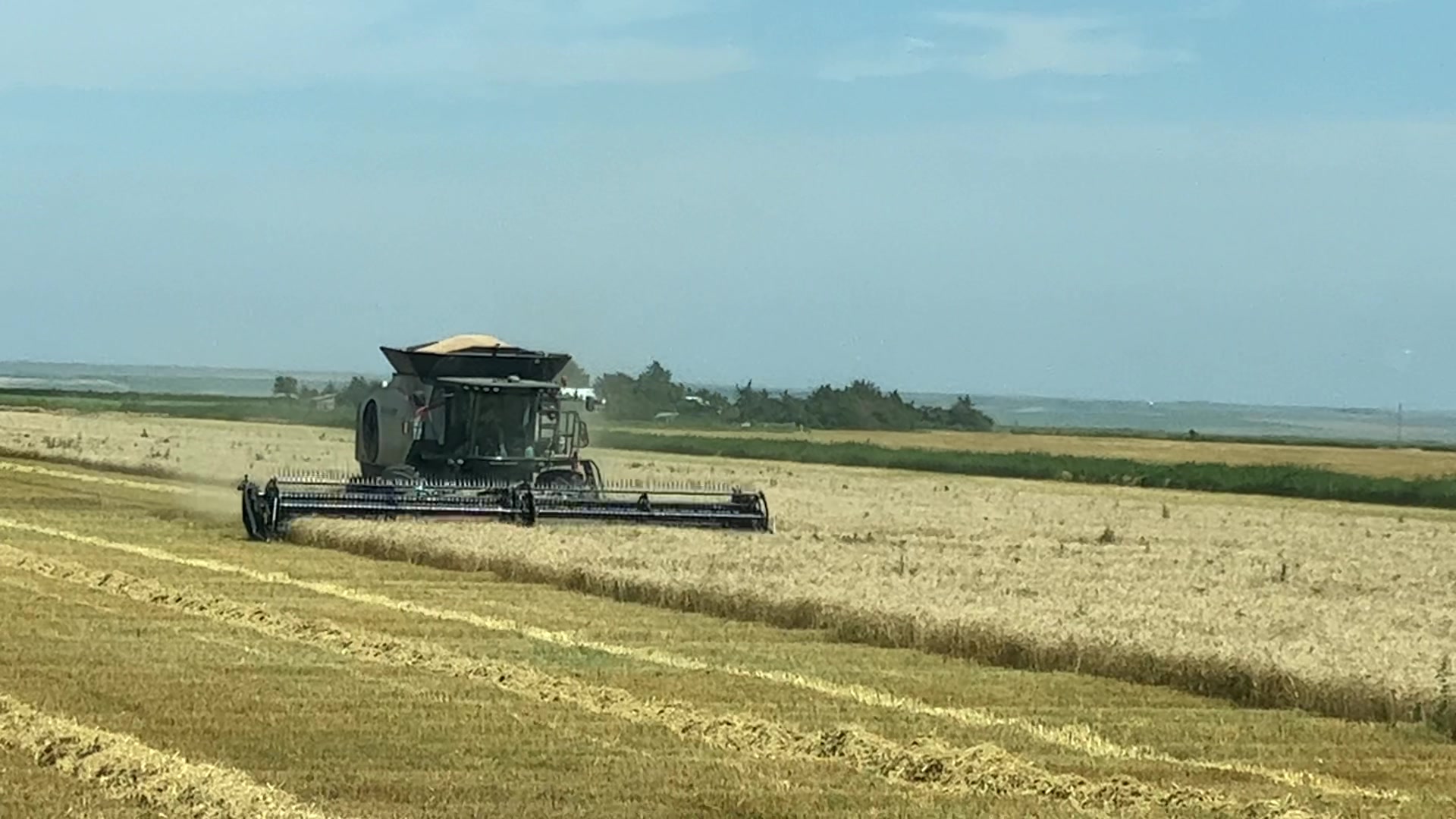 Riggin is 11 and doing a great job in the combine. Today he got to drop ...