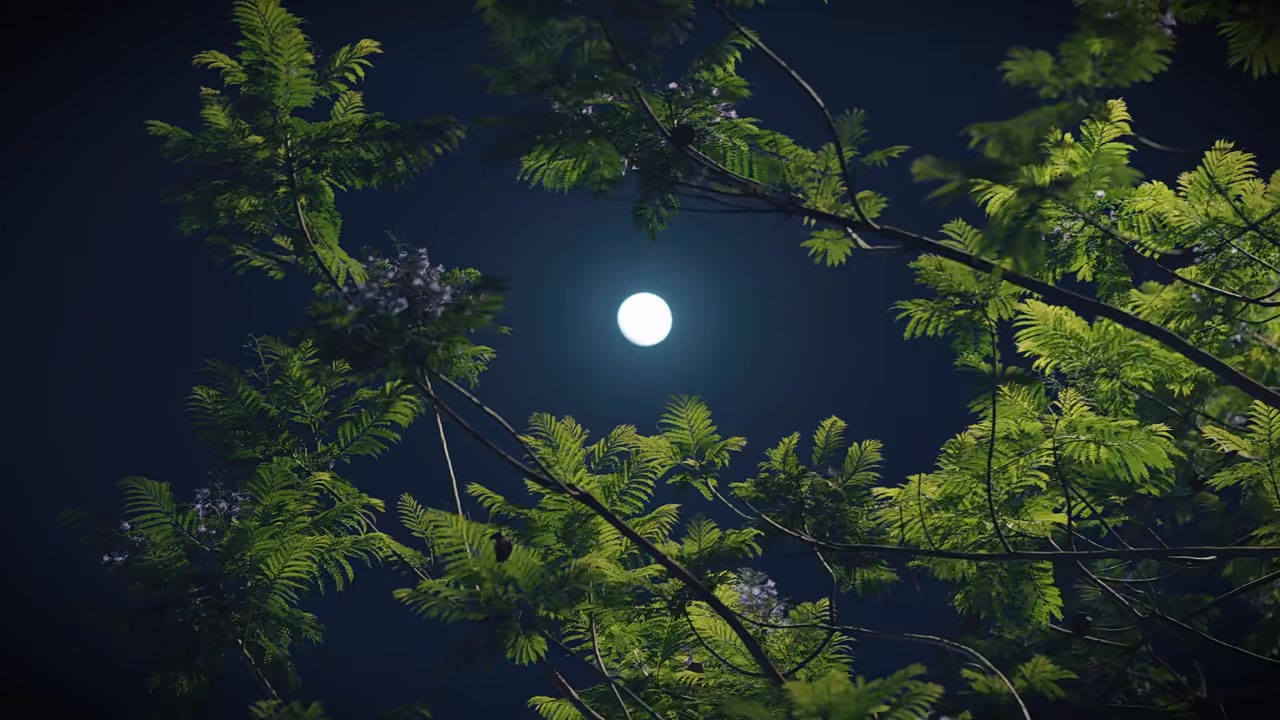 🍃🌕 | 𝗠 𝗜 𝗡 图 | Facebook