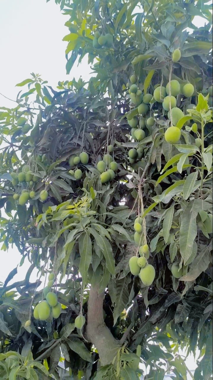 প্রিয়তমা | Rangpur