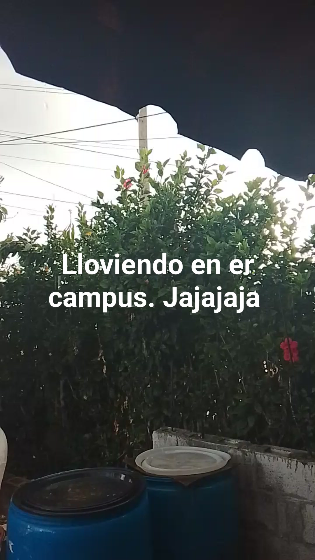 lloviendo-fuerte-surelis-cabrera-facebook