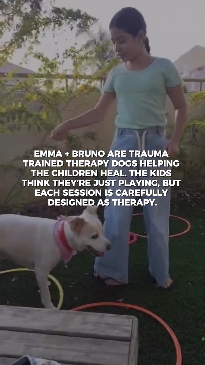 In dog-assisted therapy sessions, orphans of October 7 engage with the ...
