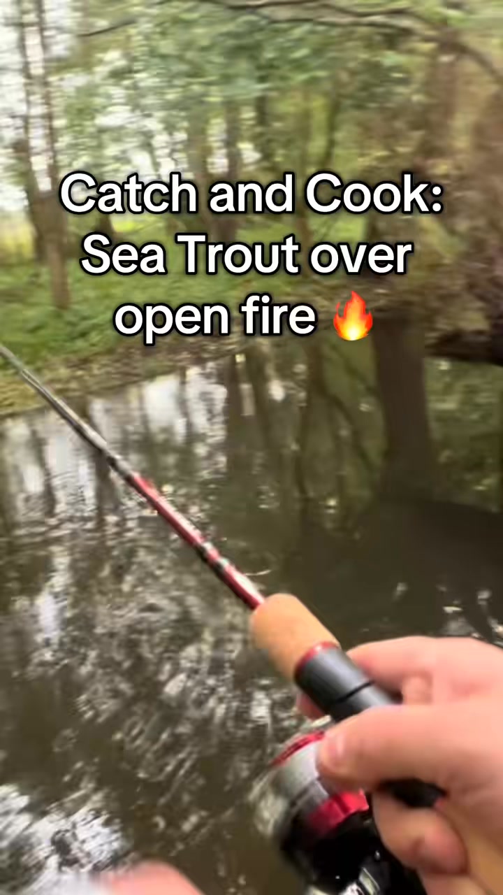Sea Trout (Havørred) on a Floating Fire 🔥 #catchandcook #fishing # ...