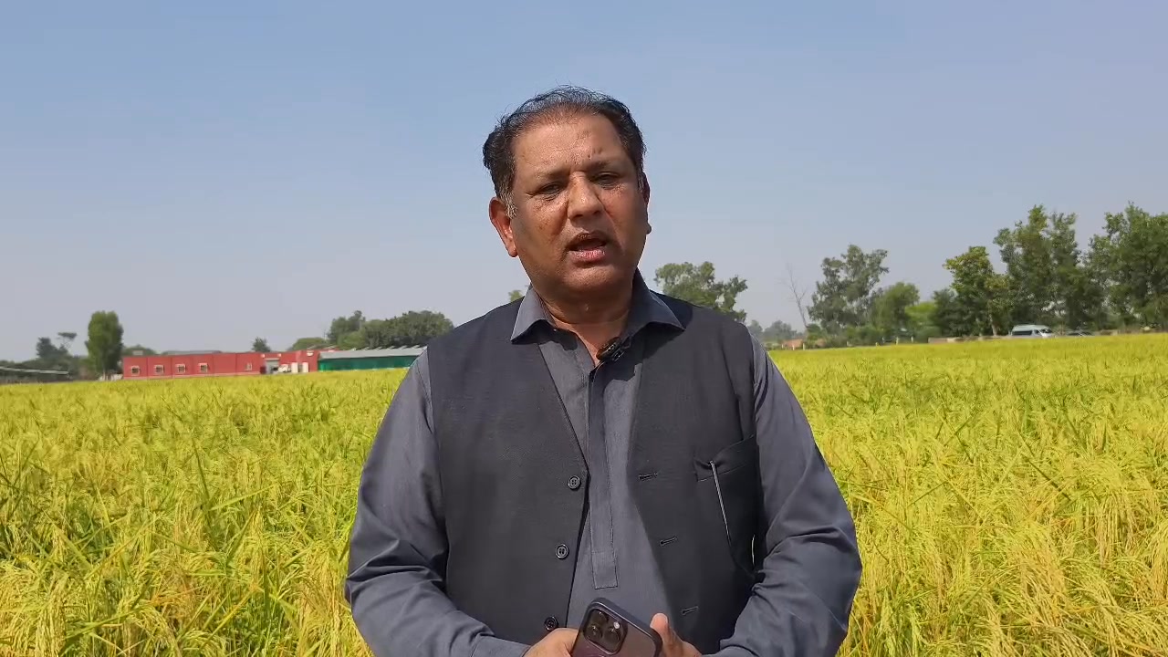 The Rice Research Institute, Kala Shah Kaku (RRI, KSK) successfully ...