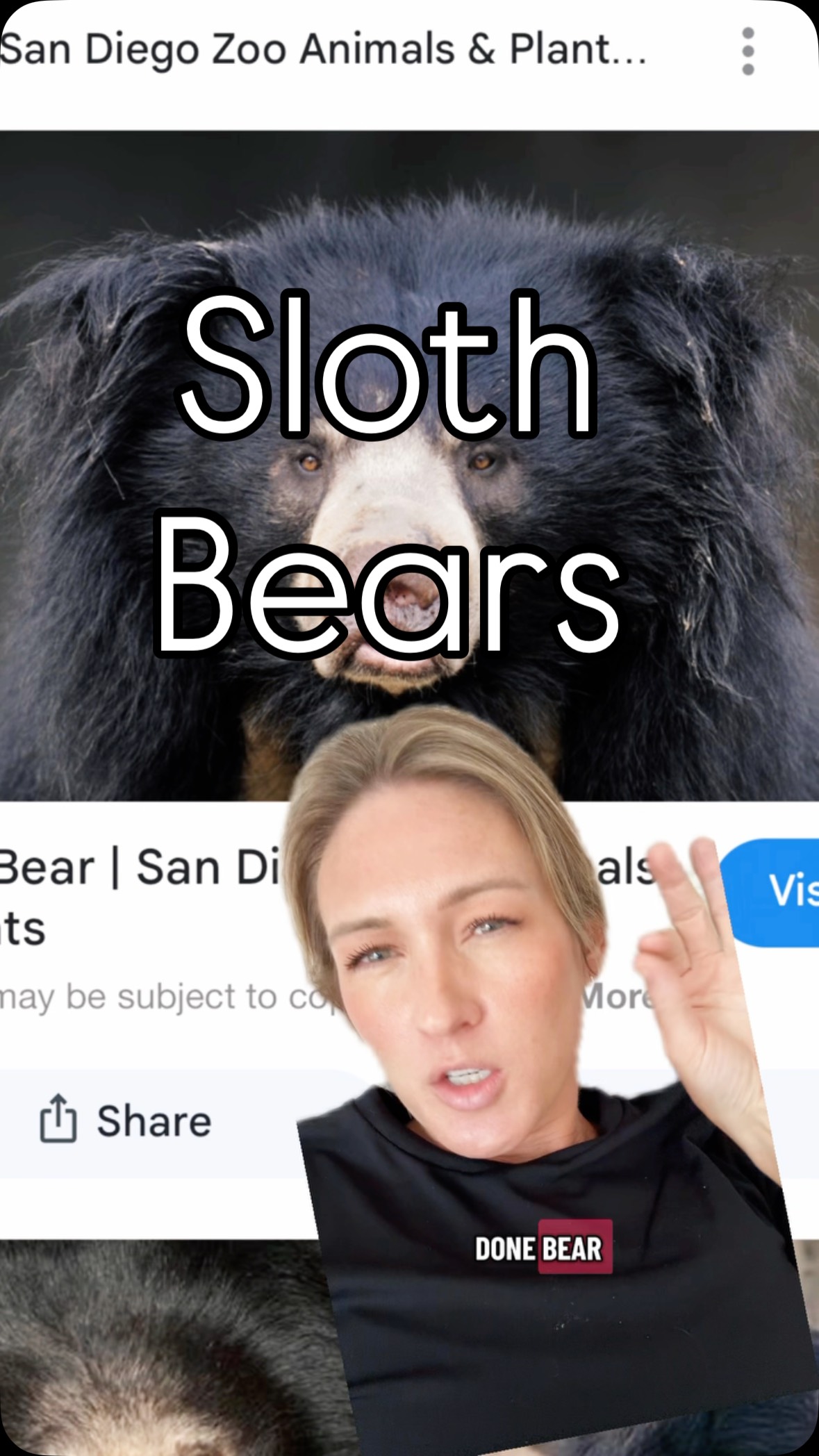 Add sloth Bears to my list of animals to avoid I guess 🐻#funnyanimals # ...