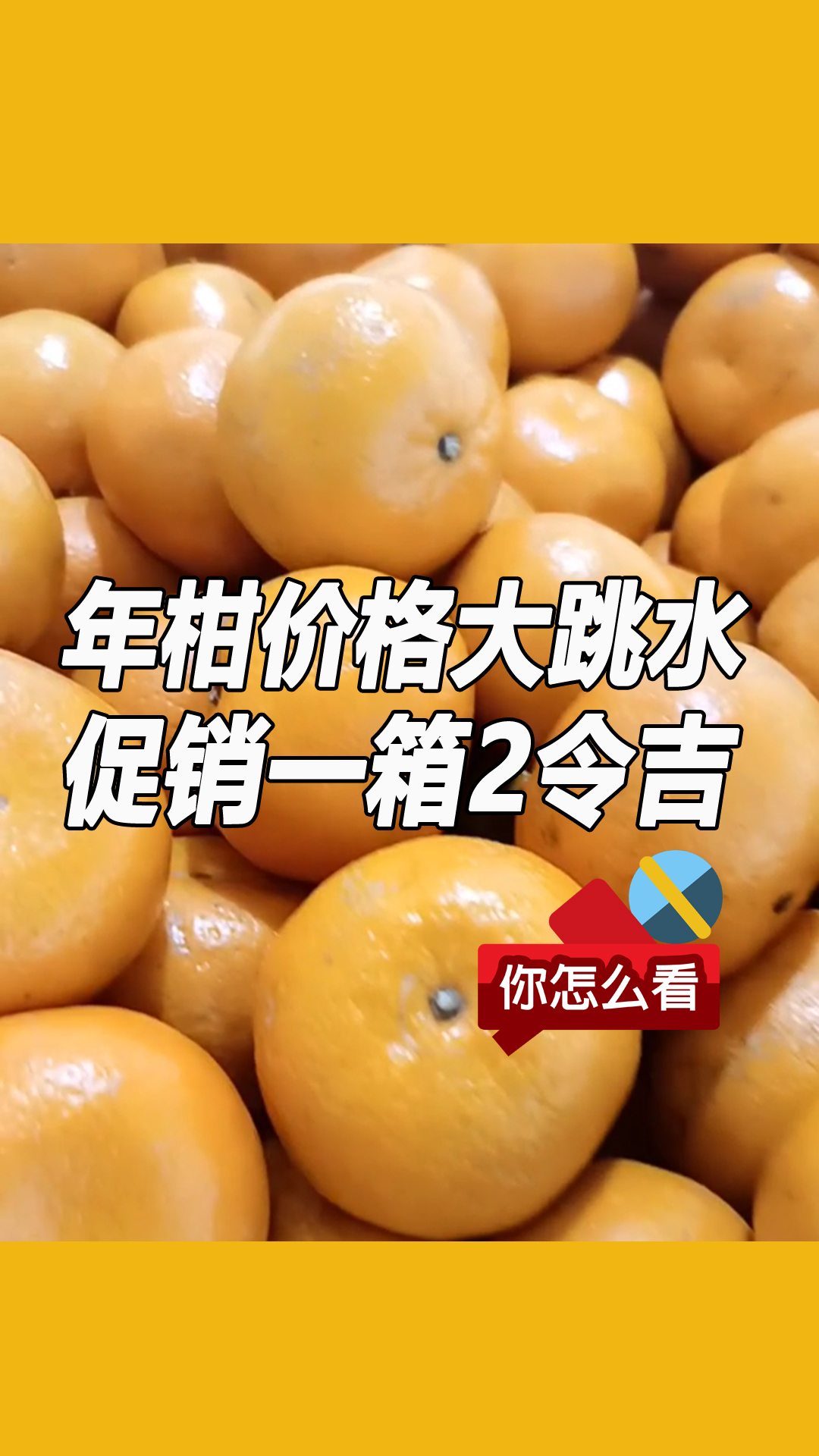 【年柑价格“大跳水” 促销低至一箱2令吉】 今天（23日）是大年初七，年柑价格“跳水”。原价50令吉的“红美人”现仅售5令吉，M型年柑更低至2 ...