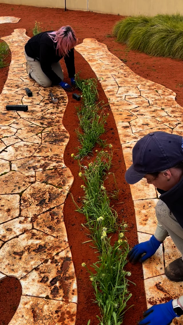Inspired by the spectacular wildflowers of Western Australia, the team ...