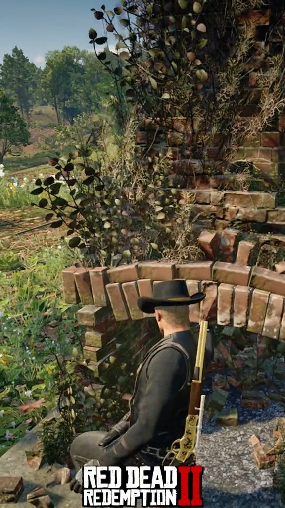 Fast & Easy Money In RDR2 🤠💰 #rdr2 #reddeadredemption2 #arthurmorgan # ...