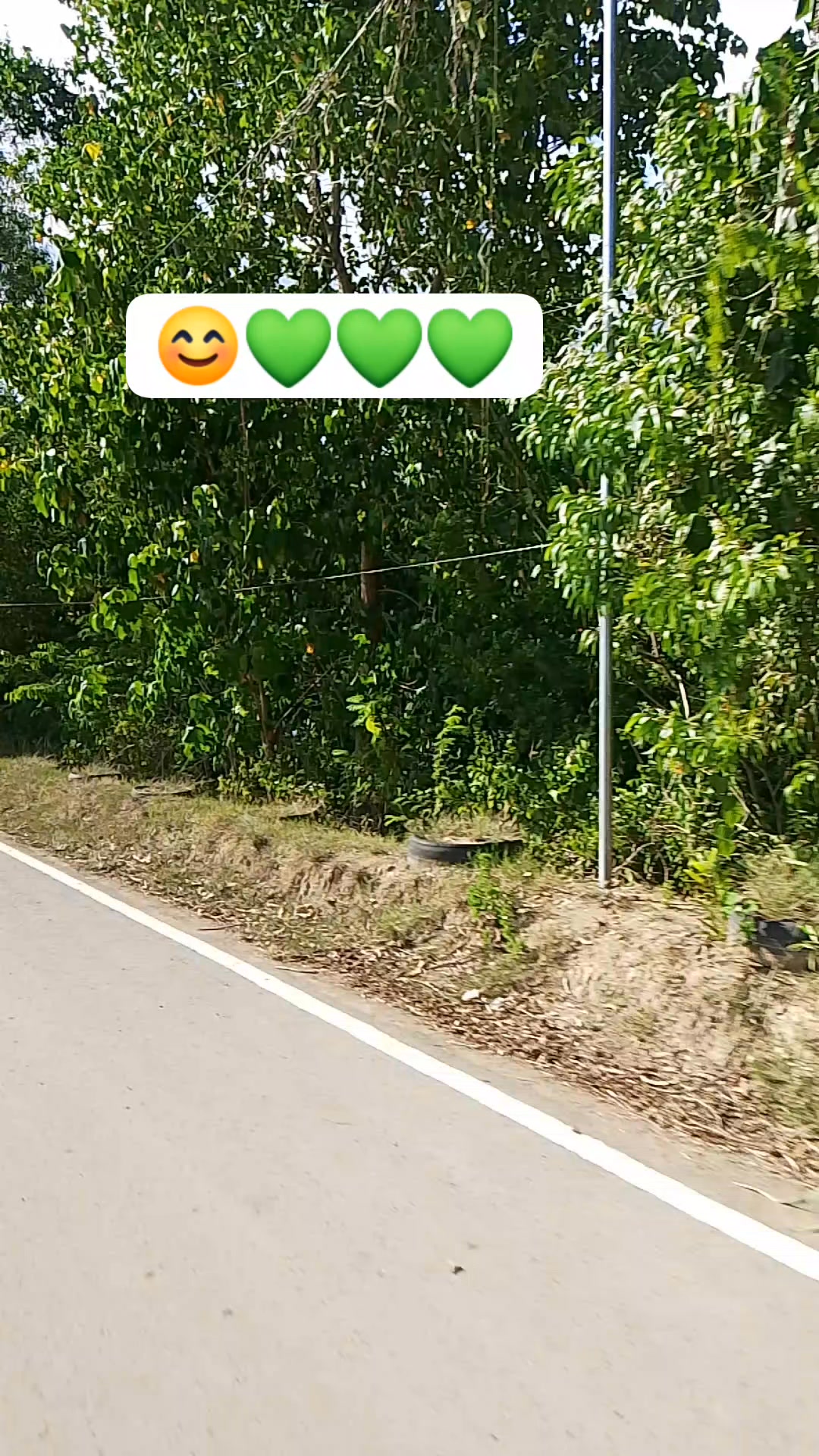 Ang sarap ng maraming Puno💚☘️🌿🍀 Katulad ng daanan na ito 😲 Malamig ...