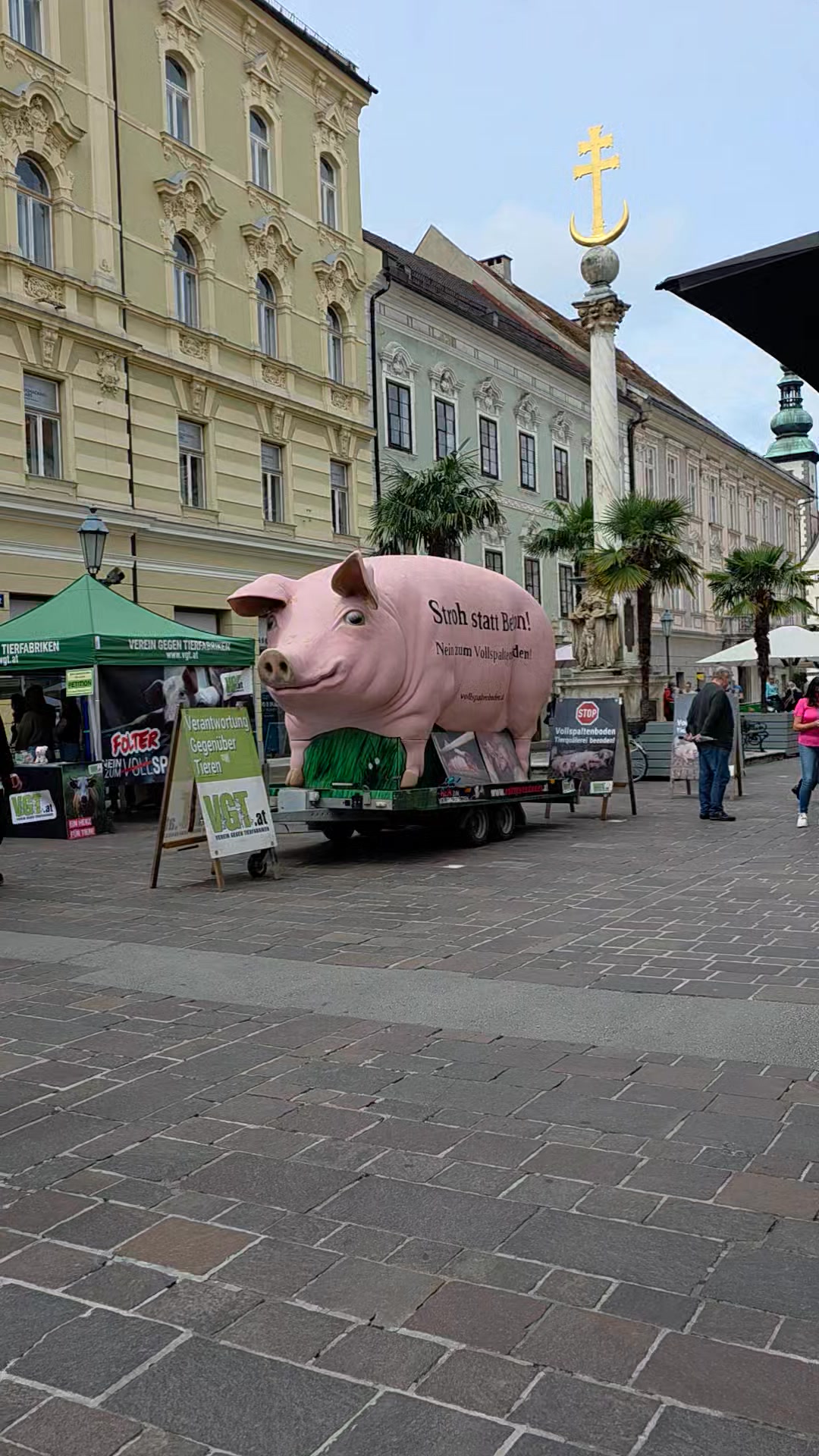 Ein großes Schwein am Alten Platz. | Mein Klagenfurt